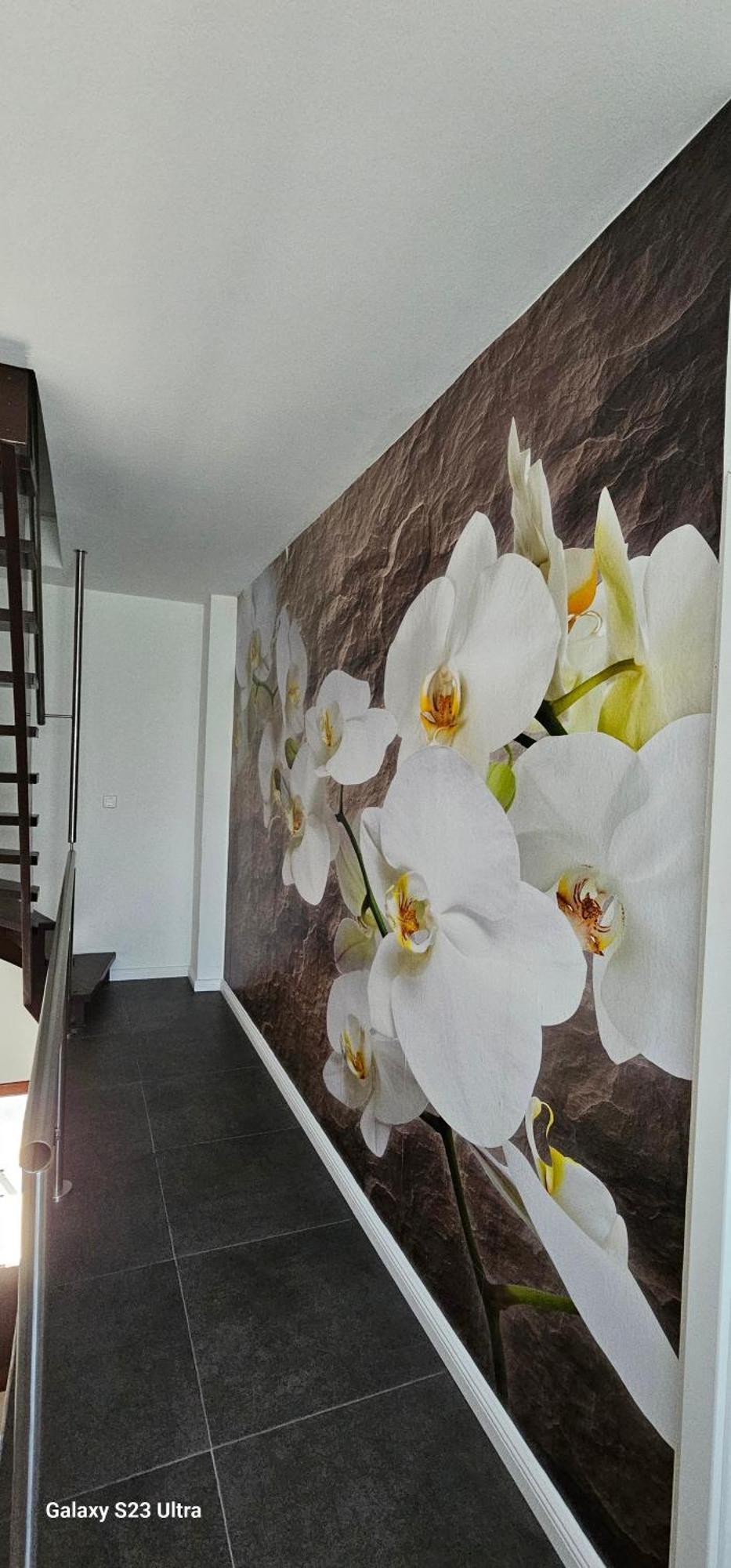 Gaestehaus Orchidee Hoya Extérieur photo